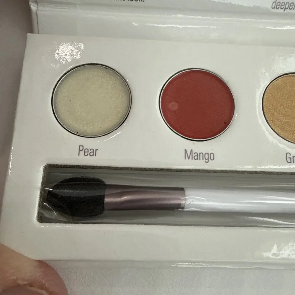 Sheer Cover Studio NEW Lips Eyes Cheek Palette DISCONTINUED Grapefruit & Plum